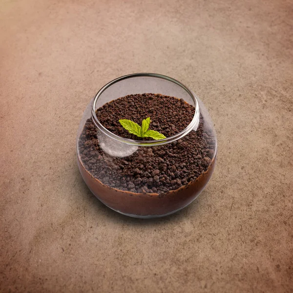 Hemgjord Mörk Choklad Mousse Dekorerad Med Choklad Marken Serveras Glas — Stockfoto