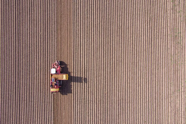 Aerial View Agricultural Potato Combine Harvester Field — Stock Photo, Image