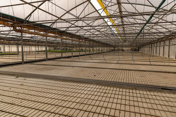 Leeres Gewächshaus Mit Bewässerungssystem Hintergrund Landwirtschaftlicher Unternehmen — Stockfoto