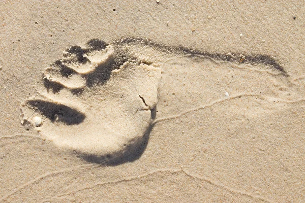 Pegada na areia — Fotografia de Stock