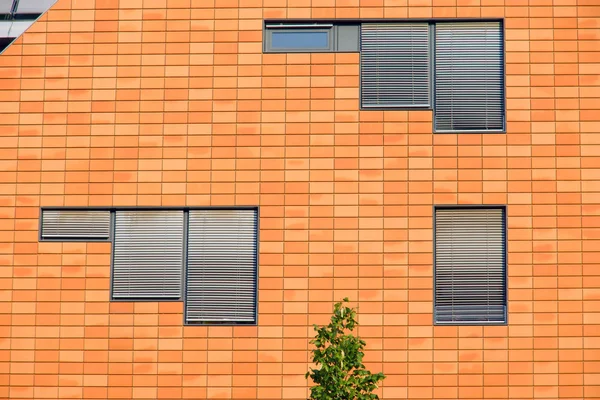 Orange fasad med fönster — Stockfoto