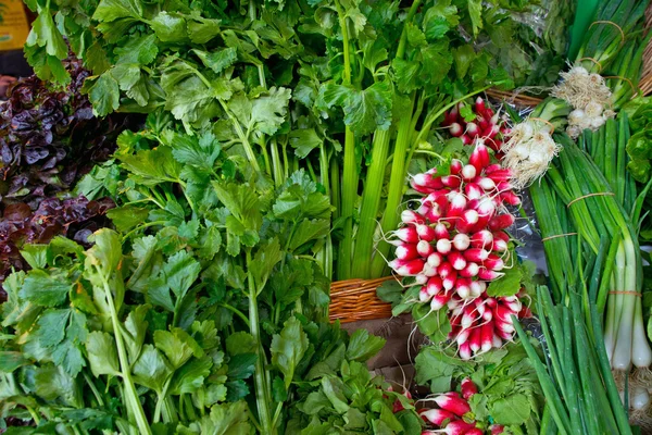 Ensalada y rábano —  Fotos de Stock