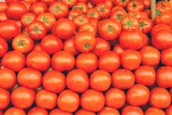 A pile of tomatoes — Stock Photo, Image