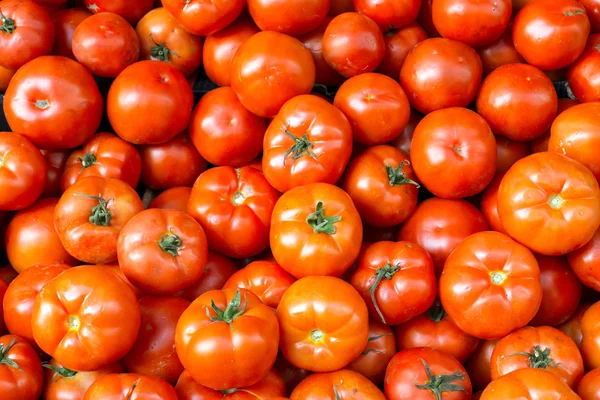 新鮮で熟したトマト — ストック写真