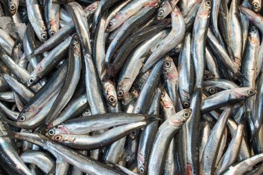 Anchovies for sale clipart