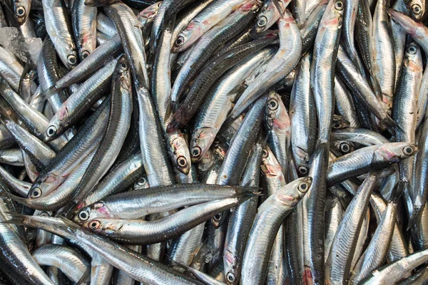 Anchovies for sale — Stock Photo, Image