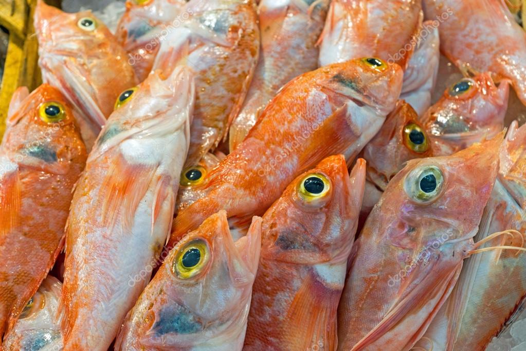 Rouget poisson à vendre — Photographie elxeneize © 19695107