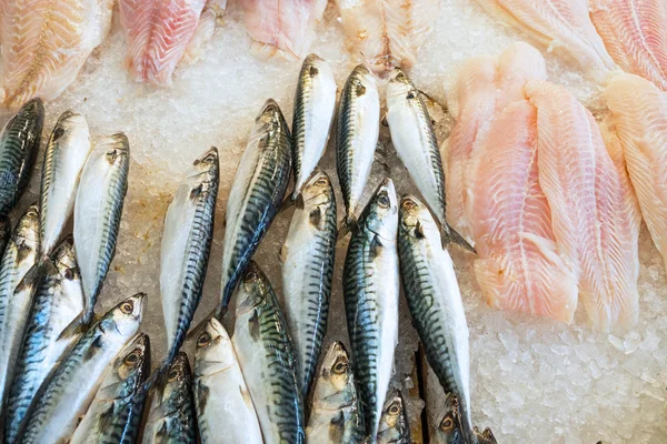 Fresh fish and filet on ice — Stock Photo, Image