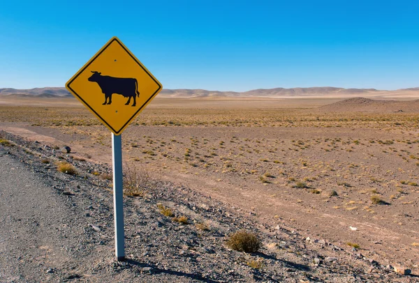 Kráva znamení v Andách — Stock fotografie