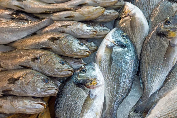 Vis voor verkoop op de markt — Stockfoto