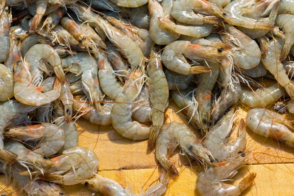 Fresh shrimps Royalty Free Stock Images