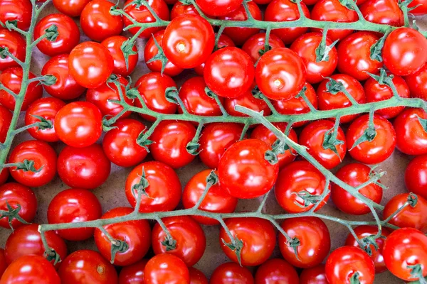 Antecedentes de tomates en rama — Foto de Stock