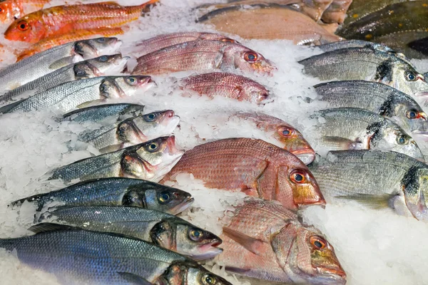 Pescado fresco en el mercado —  Fotos de Stock