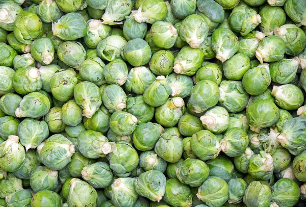 Kleine grüne Rosenkohl-Sprossen — Stockfoto