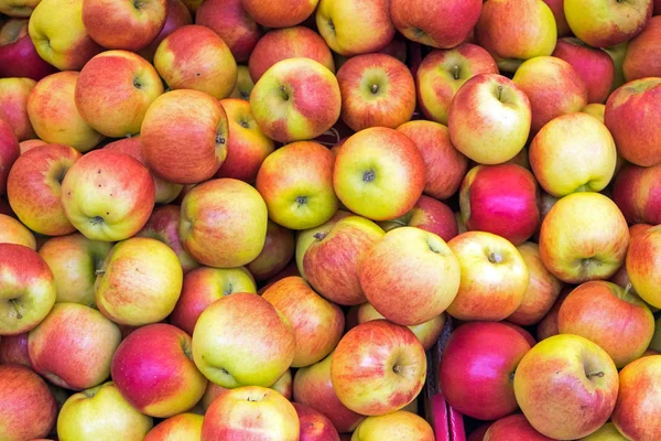 Manzanas rojas y amarillas — Foto de Stock