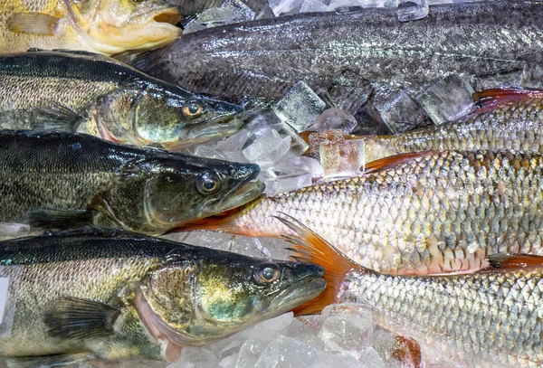 Fresh fish on ice for sale — Stock Photo, Image