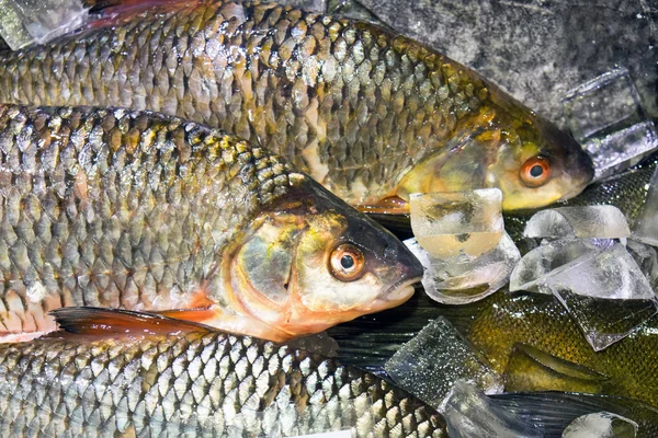 Pescado sobre hielo en un mercado —  Fotos de Stock