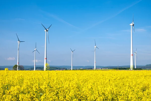 Yellow rapeseed field and windwheels — Stock Photo, Image
