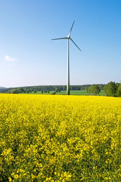 Windwheel and rapeseed field — Stock Photo, Image