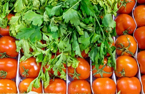 Tomater och örter — Stockfoto