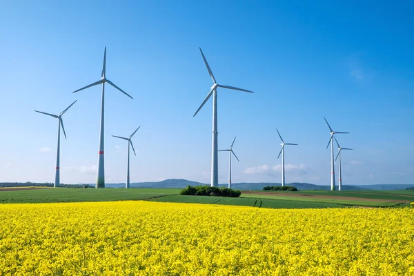 Rapeseed and windwheels — Stock Photo, Image