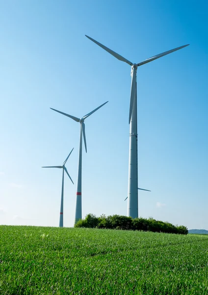 Windräder, Felder und blauer Himmel — Stockfoto