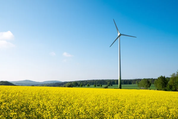 Blue sky, rapeseed and windwheel — Stock Photo, Image