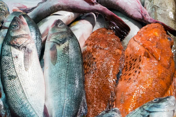 El pescado en el mercado — Foto de Stock