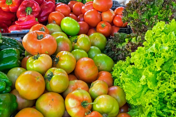 Tomater, paprika och sallad — Stockfoto