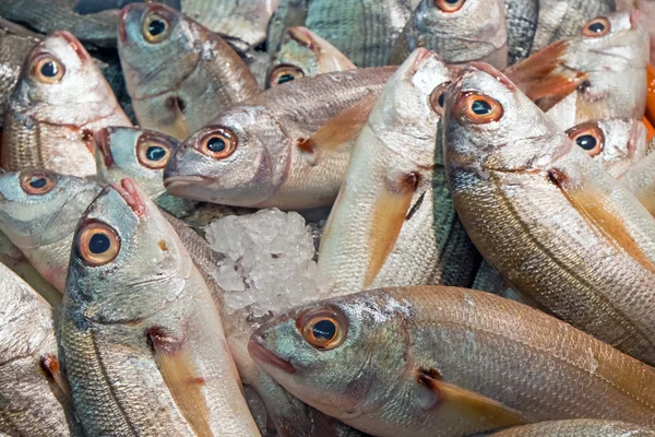 Peixe fresco para venda — Fotografia de Stock