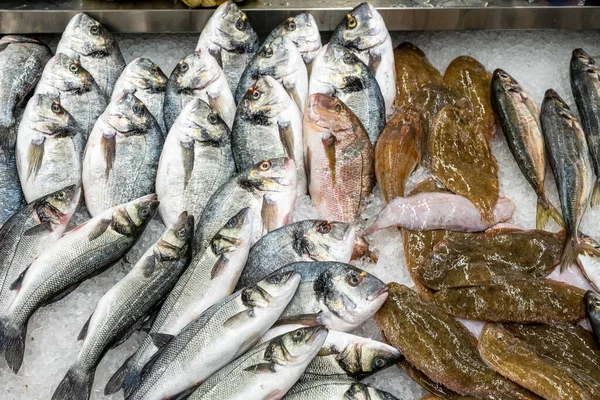 Озил Продает Рыбу Рынке Порту Португалия — стоковое фото