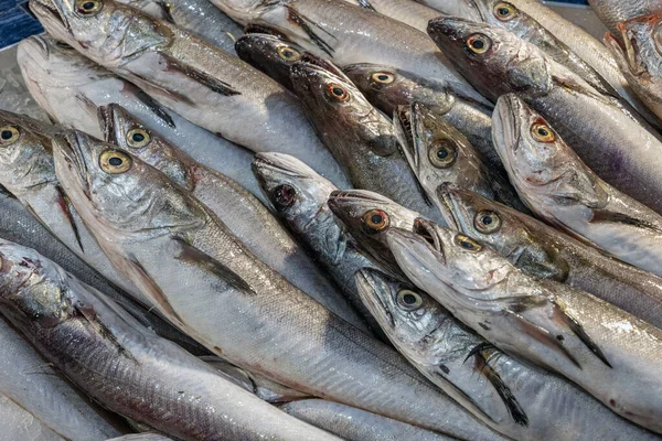 Verse Vis Koop Een Markt Lissabon Portugal — Stockfoto