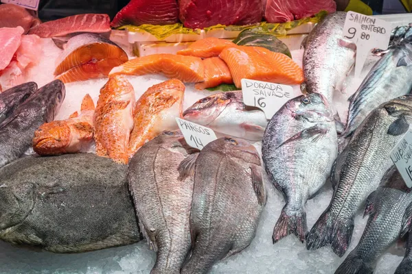 Capturas Frescas Peixe Para Venda Num Mercado Barcelona — Fotografia de Stock