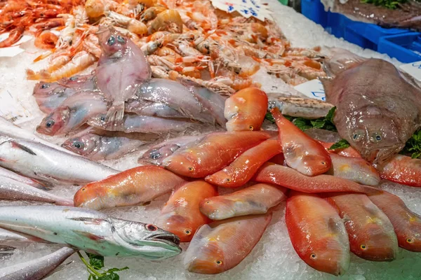 Fish Seafood Sale Market Stall Barcelona — Stock Photo, Image