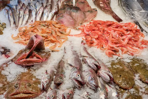 西班牙巴塞罗那市场出售新鲜海鲜和鱼类的摊位 — 图库照片