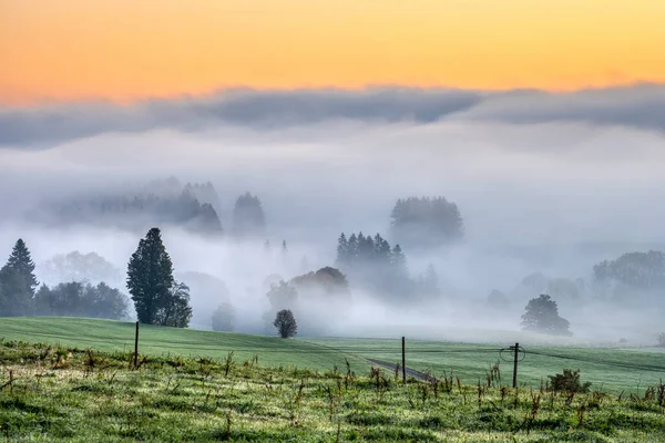 Mlhavá Krajina Před Východem Slunce Bavorsku Německo — Stock fotografie