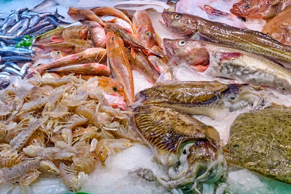 Peixes Frutos Mar Frescos Venda Num Mercado Barcelona Espanha — Fotografia de Stock