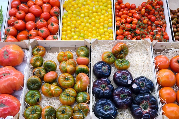 Tomates Différentes Couleurs Formes Vendre Sur Marché — Photo