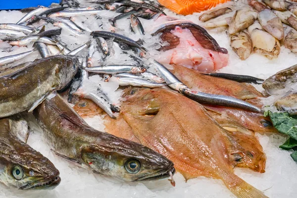 Fresh Fish Sale Seen Market Barcelona Spain — Stock Photo, Image