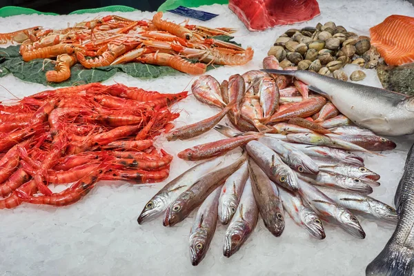 Peixes Crustáceos Frutos Mar Venda Num Mercado Barcelona — Fotografia de Stock