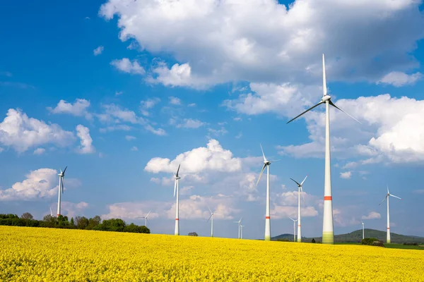 德国一个开花结果的水牛场的风力涡轮机 — 图库照片