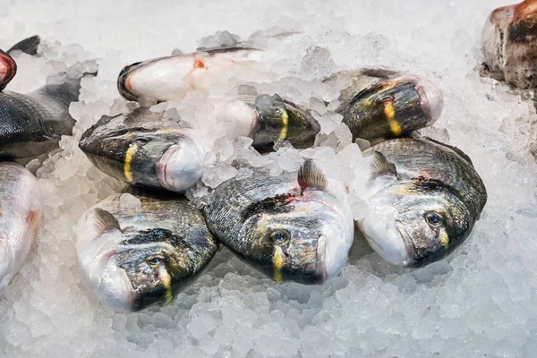 Poisson Frais Sur Glace Vendre Dans Marché Barcelone Espagne — Photo