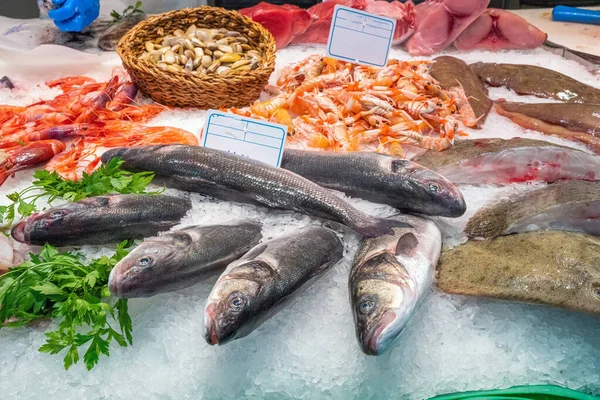Fish and seafood on ice seen at a market in Barcelona, Spain