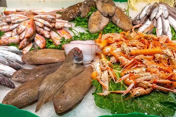 西班牙巴塞罗那市场上看到的冰上鱼类和海鲜 — 图库照片