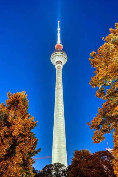Słynna Wieża Telewizyjna Berlinie Niebieskiej Godzinie Widziana Przez Niektóre Drzewa — Zdjęcie stockowe