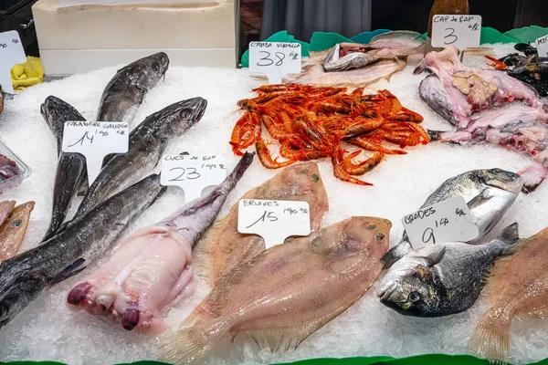 Escolha Fina Peixe Fresco Frutos Mar Para Venda Mercado — Fotografia de Stock