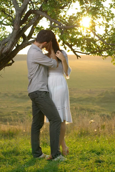 Casal beijando debaixo da árvore — Fotografia de Stock