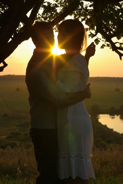 Couple kissing under tree at evening — Stock Photo, Image