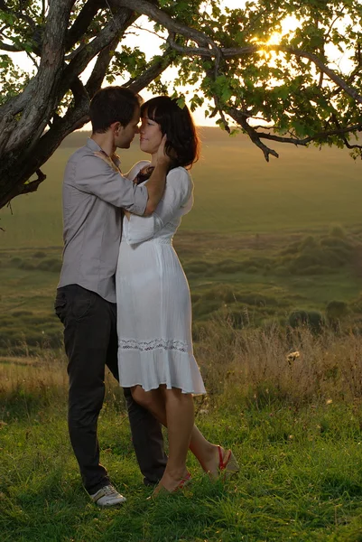 Casal beijando debaixo da árvore — Fotografia de Stock