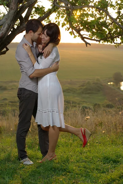 Dos novios besándose bajo el árbol en el campo — Foto de Stock